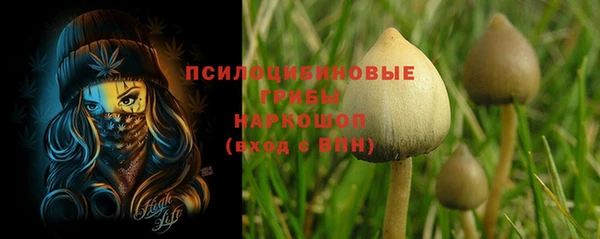 гидра Балабаново