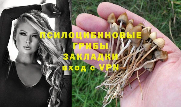гидра Балабаново