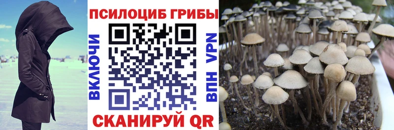 Галлюциногенные грибы Cubensis  блэк спрут ONION  Новый Уренгой 