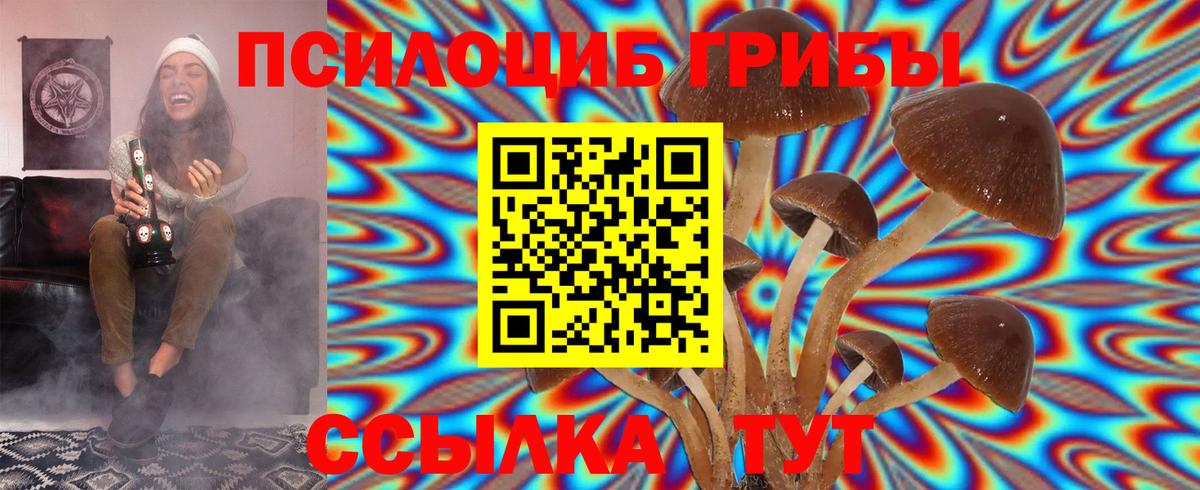 Псилоцибиновые грибы MAGIC MUSHROOMS Новый Уренгой