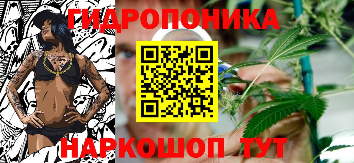Каннабис VHQ  Вход с VPN  Конопля планчик  МАРИХУАНА Amnesia  Новый Уренгой 